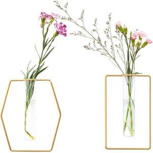 Pack of 2 Wall-Mounted Hydroponic Planter, Glass Containers w/ Gold Metal Frames